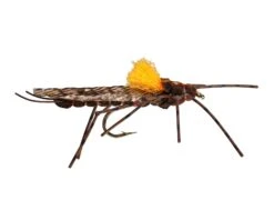 RIO's Morrish Still Stone -Fishpond Store 13614 large