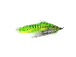 Hartwick's Tungsten Cyclops Leech By Aqua Flies -Fishpond Store 14130hartwicktungstencyclopsleech