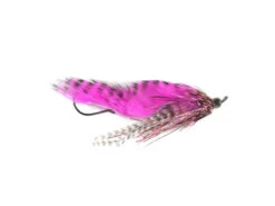 Hartwick's Tungsten Cyclops Leech By Aqua Flies -Fishpond Store 14132hartwickscyclopsleech