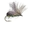 Rio's King Splitsville Beetle -Fishpond Store 14169 large