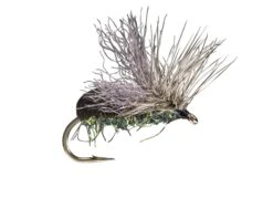 Rio's King Splitsville Beetle