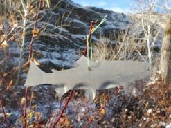 Christmas Tree Ornament // Washington State License Plate Fish Cutouts -Fishpond Store 20191213 103440 resized