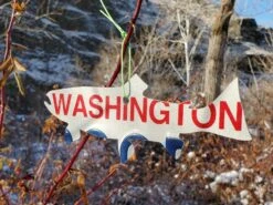 Christmas Tree Ornament // Washington State License Plate Fish Cutouts -Fishpond Store 20191213 103511 resized