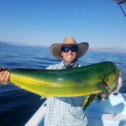 Top 12 Roosterfish & Dorado Flies // Deadly Dozen Assortment 12 Top 12 Roosterfish & Dorado Flies // Deadly Dozen Assortment -Fishpond Store 28317592457 1c0f51ecd5 k