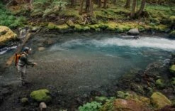 Sage DART - Small Water Fly Rod 15 Sage DART - Small Water Fly Rod -Fishpond Store 35acf459 fb69 4837 86a9 5a133440615f