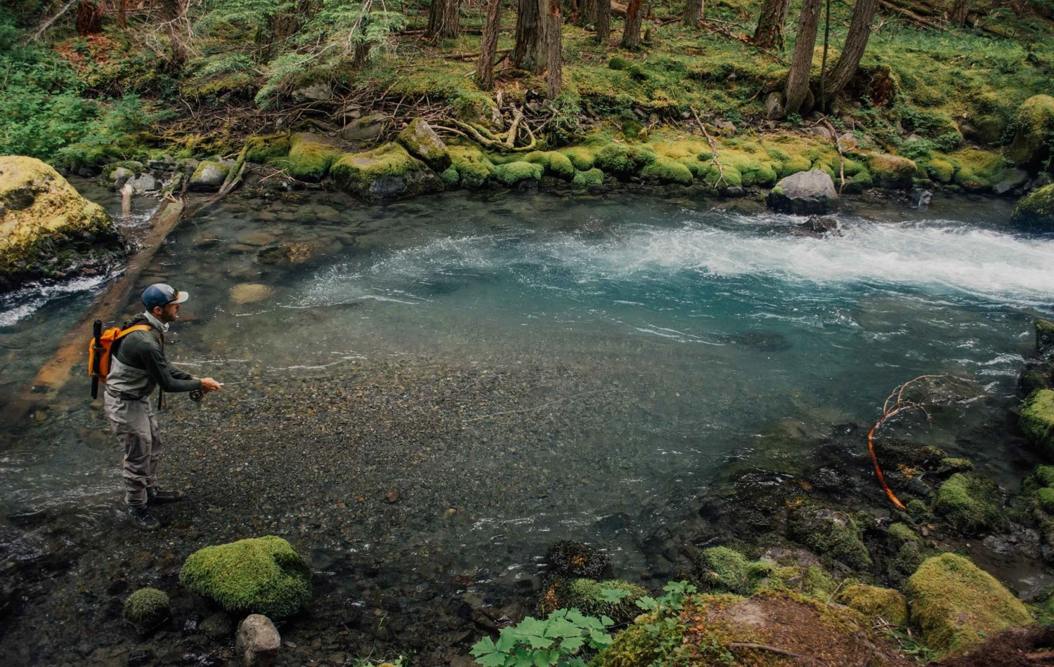 Sage DART - Small Water Fly Rod 9 Sage DART - Small Water Fly Rod - Image 7