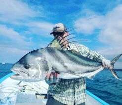 Top 12 Roosterfish & Dorado Flies // Deadly Dozen Assortment 15 Top 12 Roosterfish & Dorado Flies // Deadly Dozen Assortment -Fishpond Store 51300551631 33f1f96e5e k