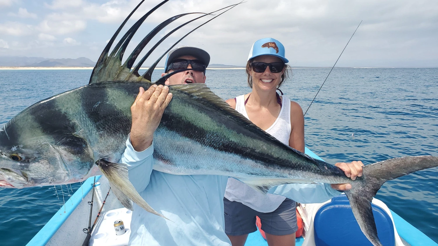 Top 12 Roosterfish & Dorado Flies // Deadly Dozen Assortment 3 Top 12 Roosterfish & Dorado Flies // Deadly Dozen Assortment