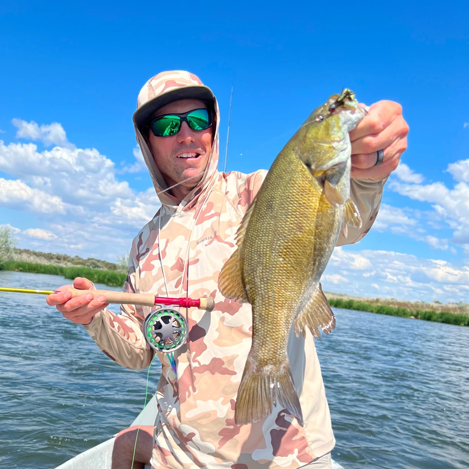 Top 12 Smallmouth Bass Flies // Deadly Dozen Assortment 3 Top 12 Smallmouth Bass Flies // Deadly Dozen Assortment