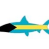 Bahama Bonefish Sticker -Fishpond Store BAHAMASBONEFISH 01