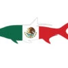 Mexico Tarpon Sticker 2 Mexico Tarpon Sticker -Fishpond Store MexicoTarponSticker 01