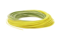 RIO Premier Gold 10 RIO Premier Gold -Fishpond Store Premier RIOGold Coil Moss Gold