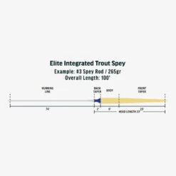 RIO Elite Integrated Trout Spey Line -Fishpond Store RIOeliteintegratedtroutspeylinediagram