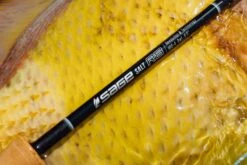 Sage SALT R8 // Saltwater Fly Rod -Fishpond Store SALT R8 2