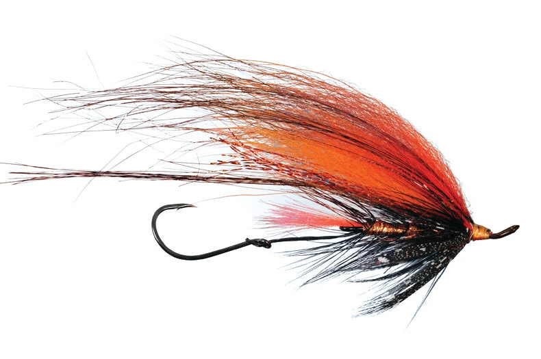 Foxee Dog By Solitude 5 Foxee Dog By Solitude - Image 3