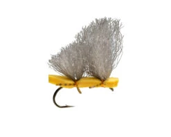 RIO's Big Boned Caddis // Orange #8 October Caddis