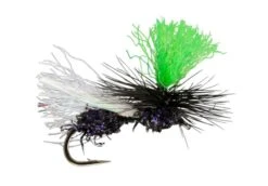 RIO's Hi-Vis Flying Ant