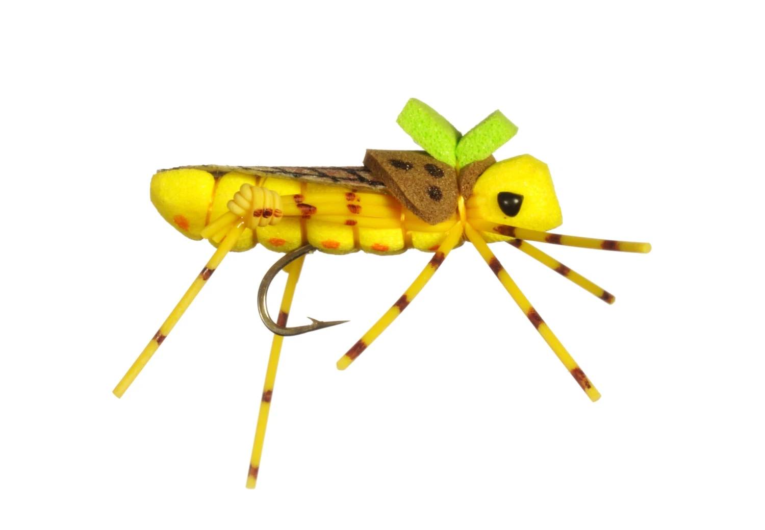 Mosh Pit Hopper By Rainy's 4 Mosh Pit Hopper By Rainy's - Image 2