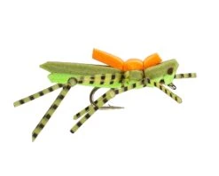 RIO's Morrish Hopper -Fishpond Store morrishgreen