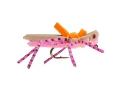 RIO's Morrish Hopper -Fishpond Store morrishpink