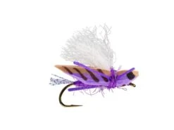 RIO's Blade Runner Hopper // Perfect For "Hopper Dropper" Setups 10 RIO's Blade Runner Hopper // Perfect For "Hopper Dropper" Setups -Fishpond Store purple e7b71628 964f 4e94 85a4 f11efb5a3e14