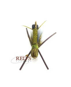 Bullet Head Skwala Stonefly By Solitude -Fishpond Store skwala belly
