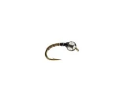 RIO's Tungsten Zebra Midge -Fishpond Store zebrablackolive